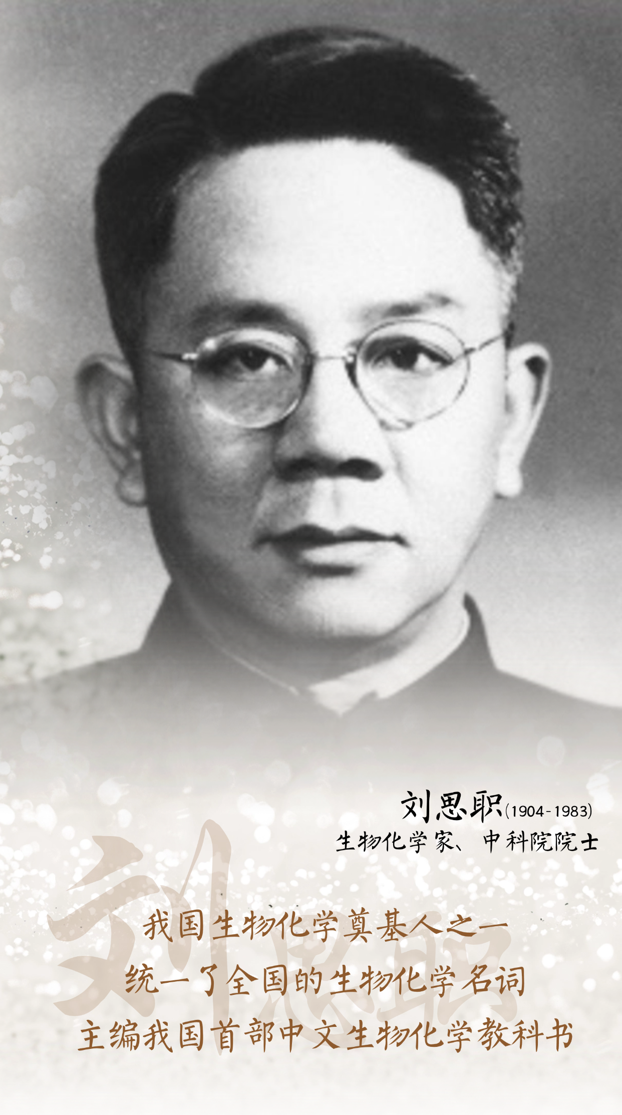 画板 1 拷贝 2.png
