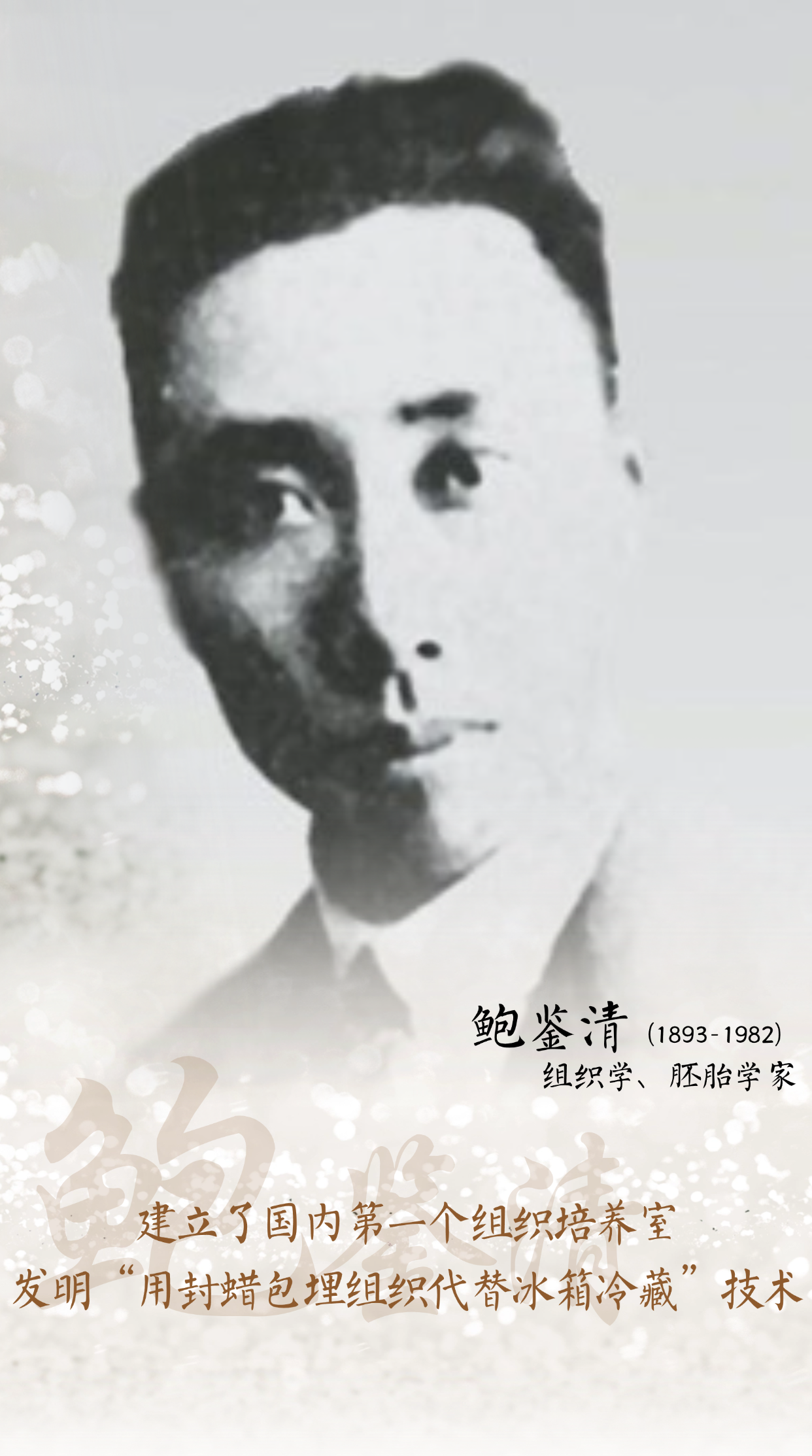 鲍鉴清.png