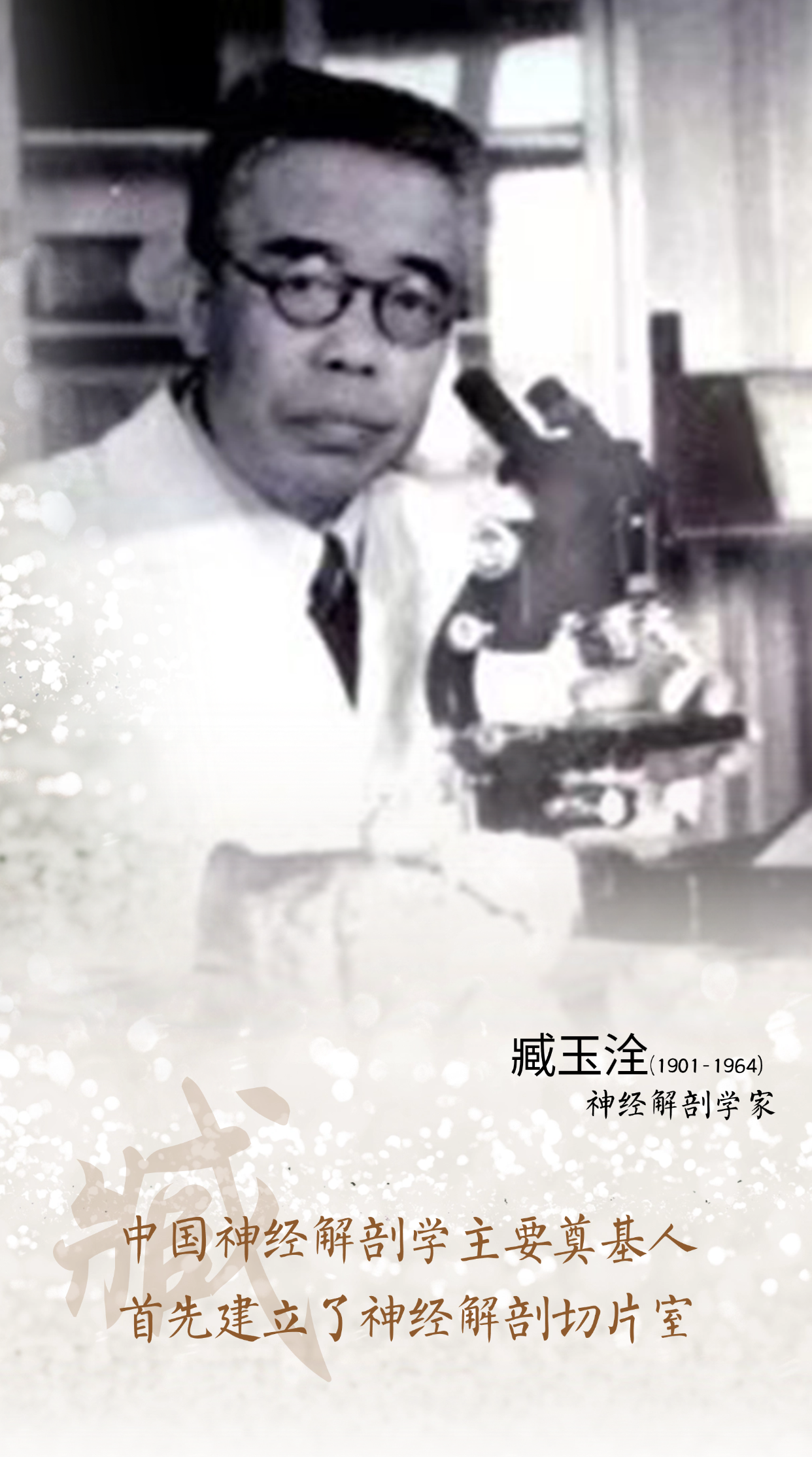 画板 1 拷贝 2.png