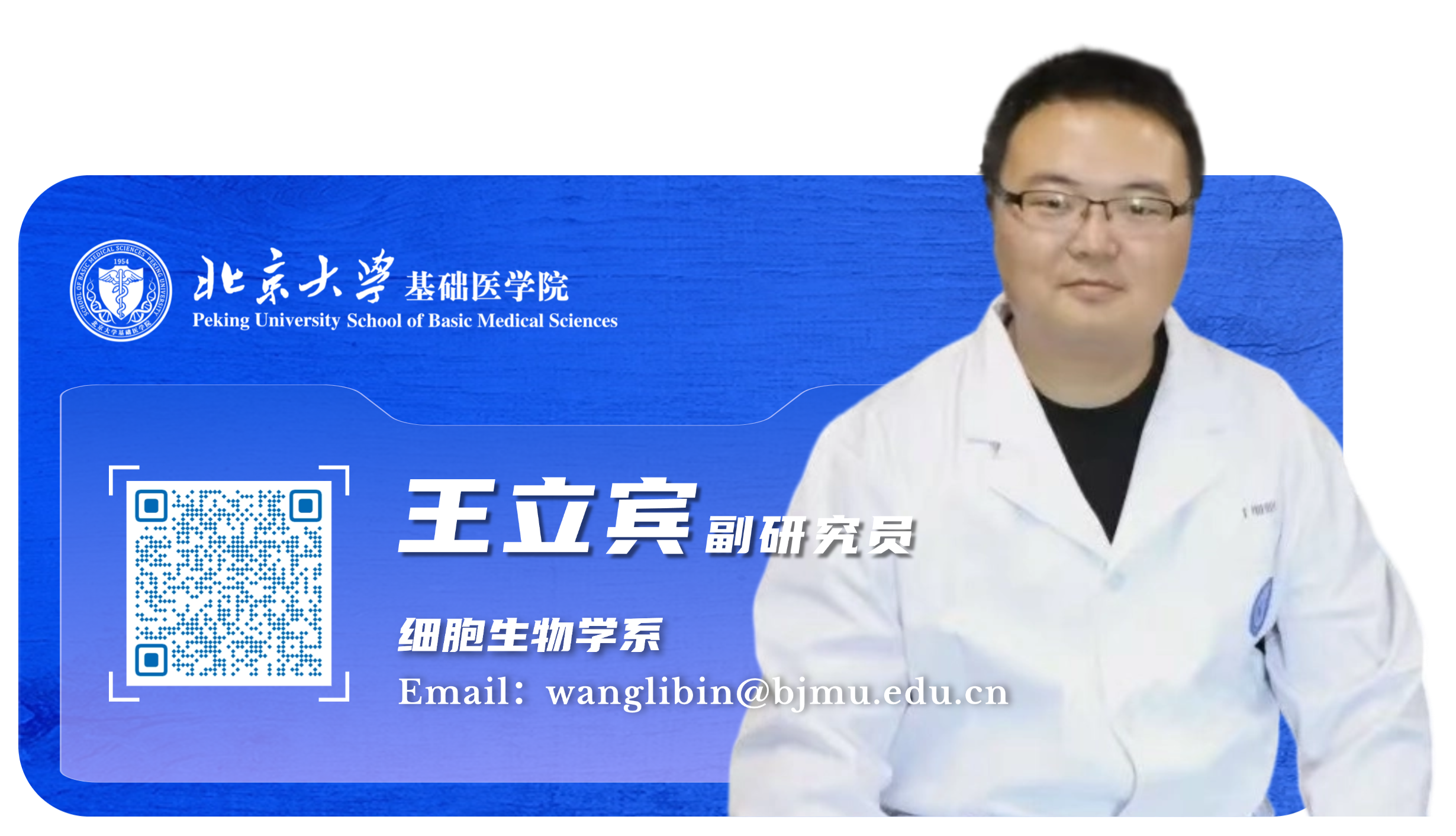 a891da1053e049f6a37eb5e042448d50.png
