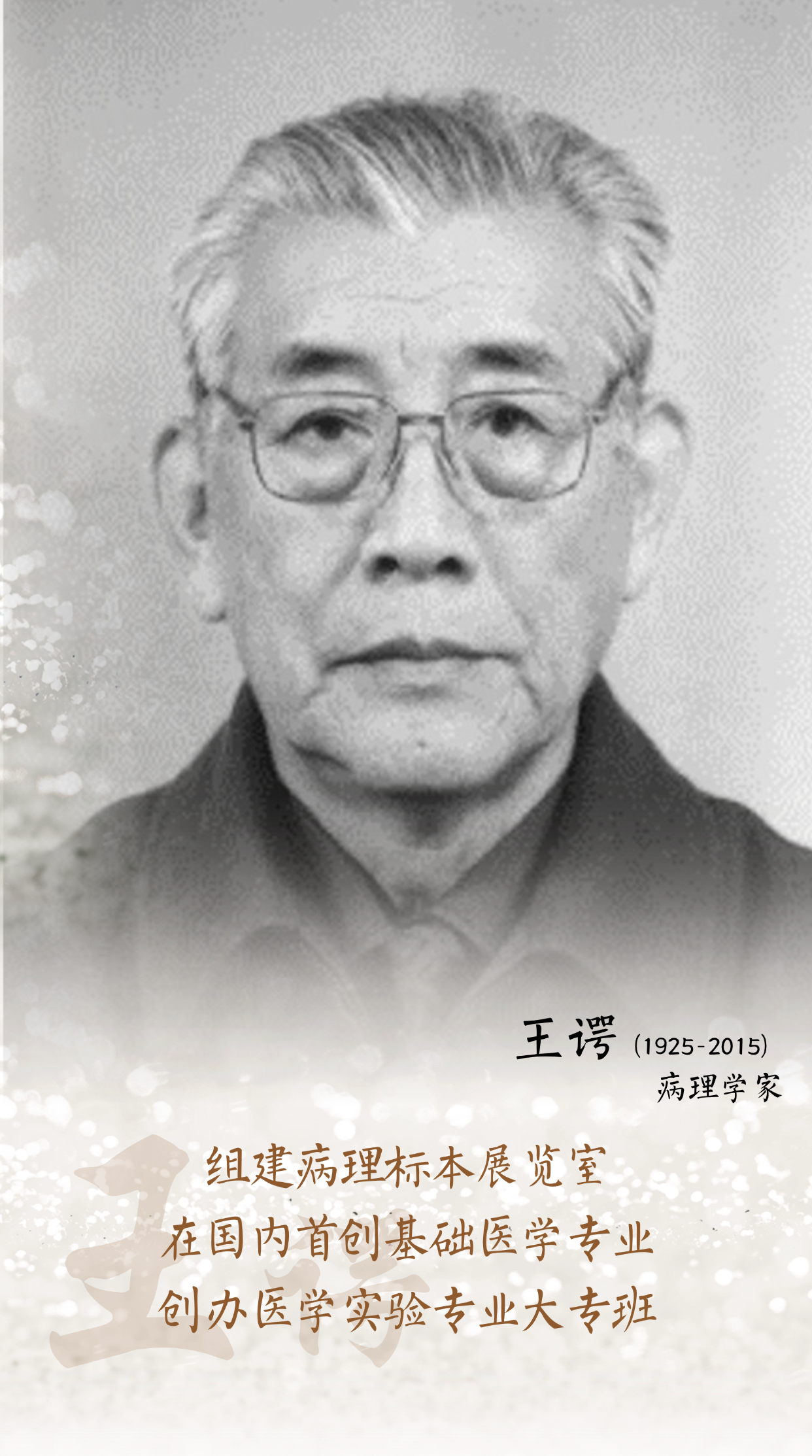 王谔.png