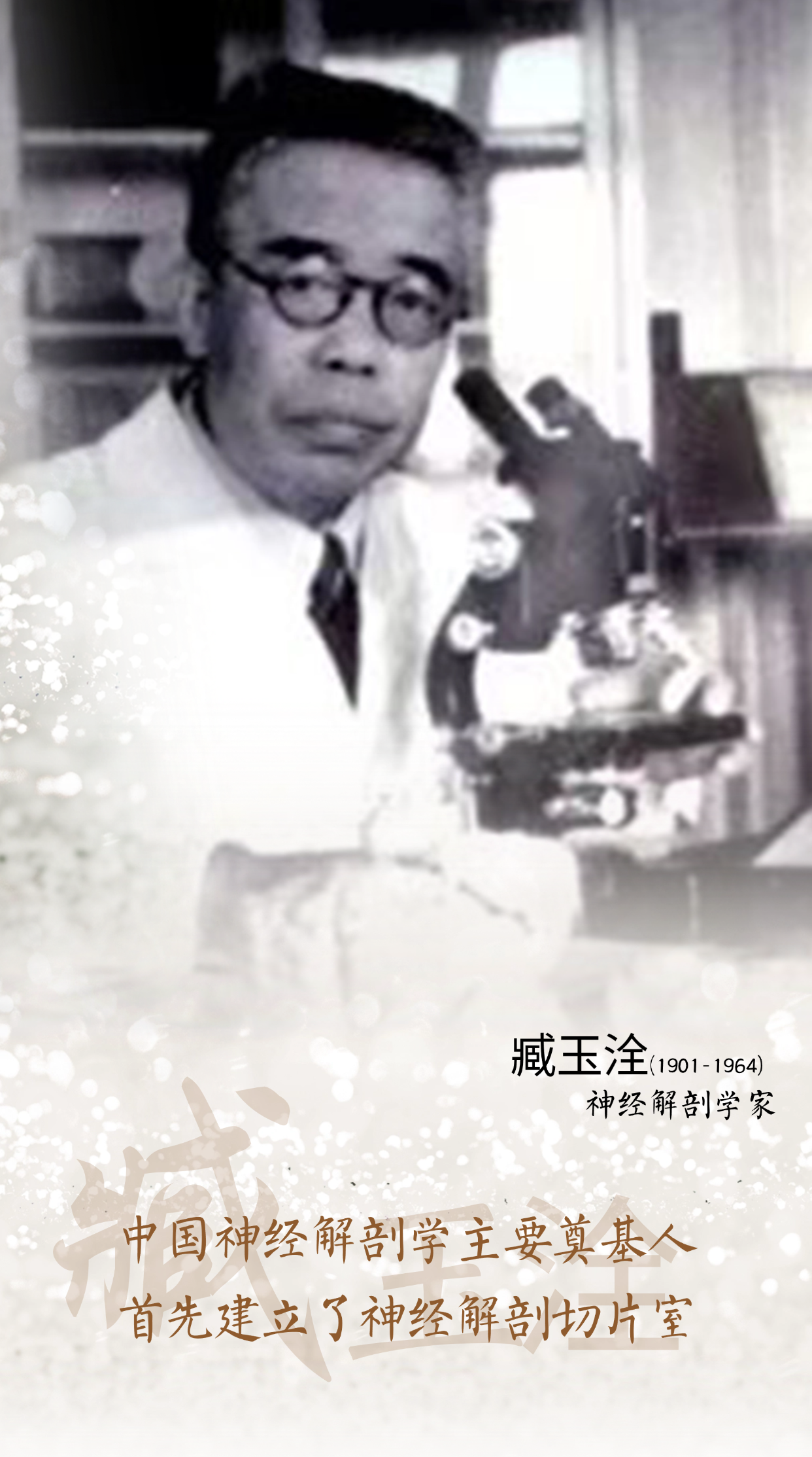 臧玉洤.png