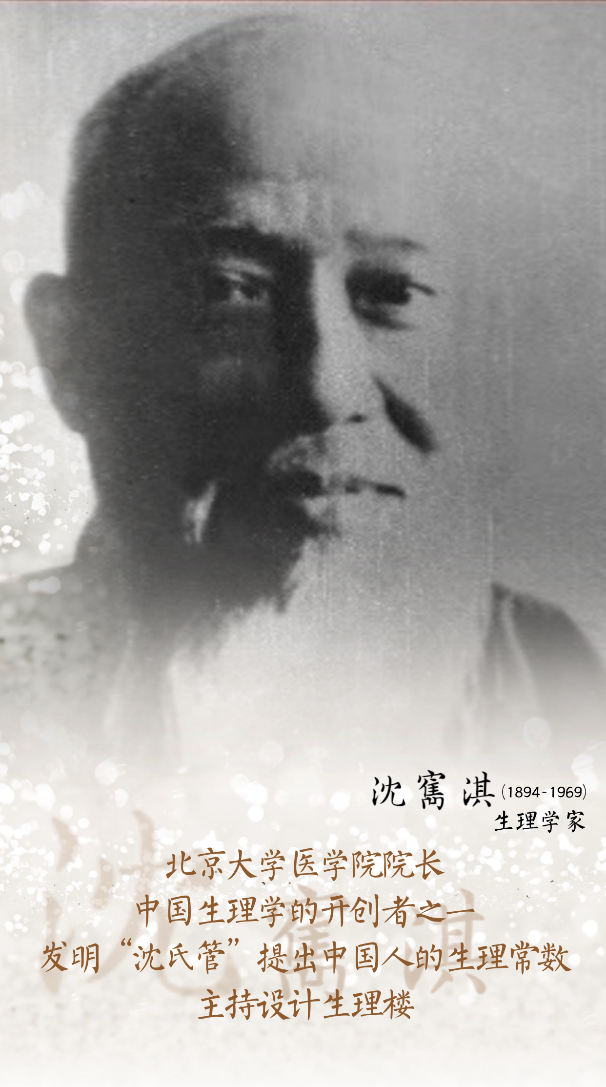 沈 大图.png