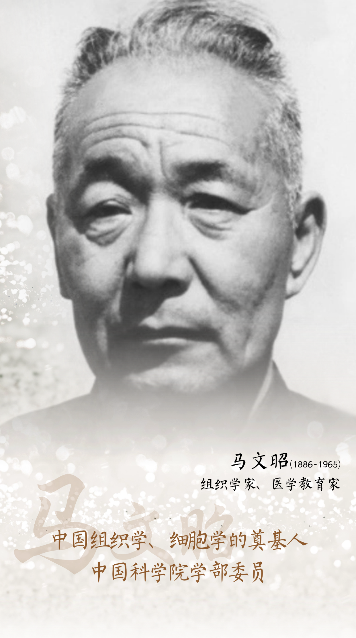 马文昭.png