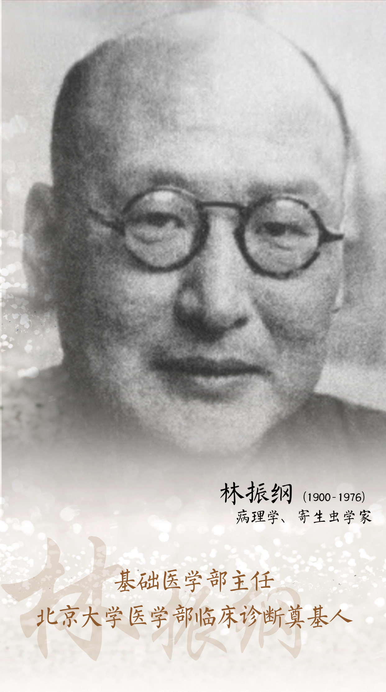 林振纲.png