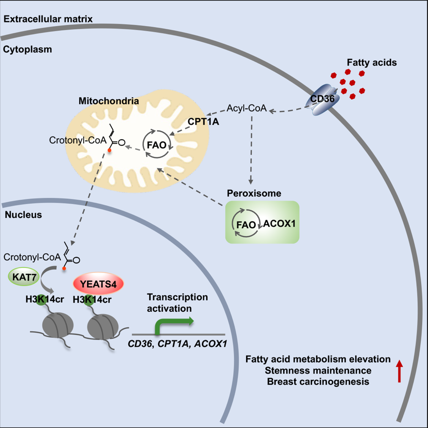 39fe44c519374235bbb7651209179ce9.png image003.png