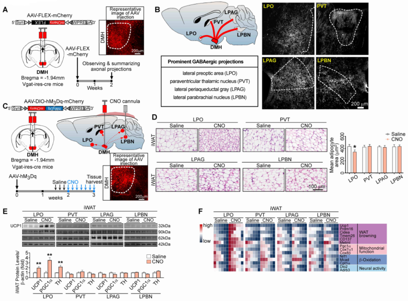 12d832bde2b54b7a991d0e8e92d3f70e.png image003.png