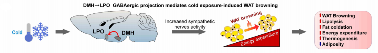 5e37e8ecb6ce4285ba0931d3e88472f5.png image005.png