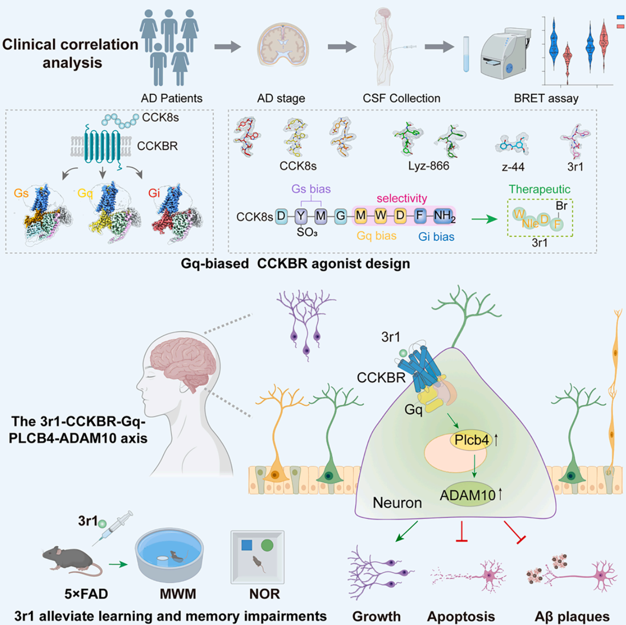 关于北大医院、知名专家黄牛挂号,良心办事合理收费科研动态的信息 关于北大医院、知名专家黄牛挂号,良心办事合理收费科研动态的信息
