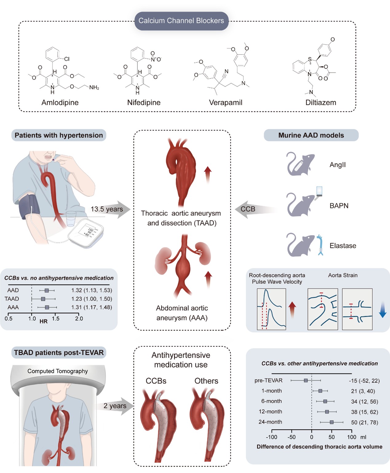 8dd726f025944f938abb8e61e9569bdf.jpg 8dd726f025944f938abb8e61e9569bdf.jpg
