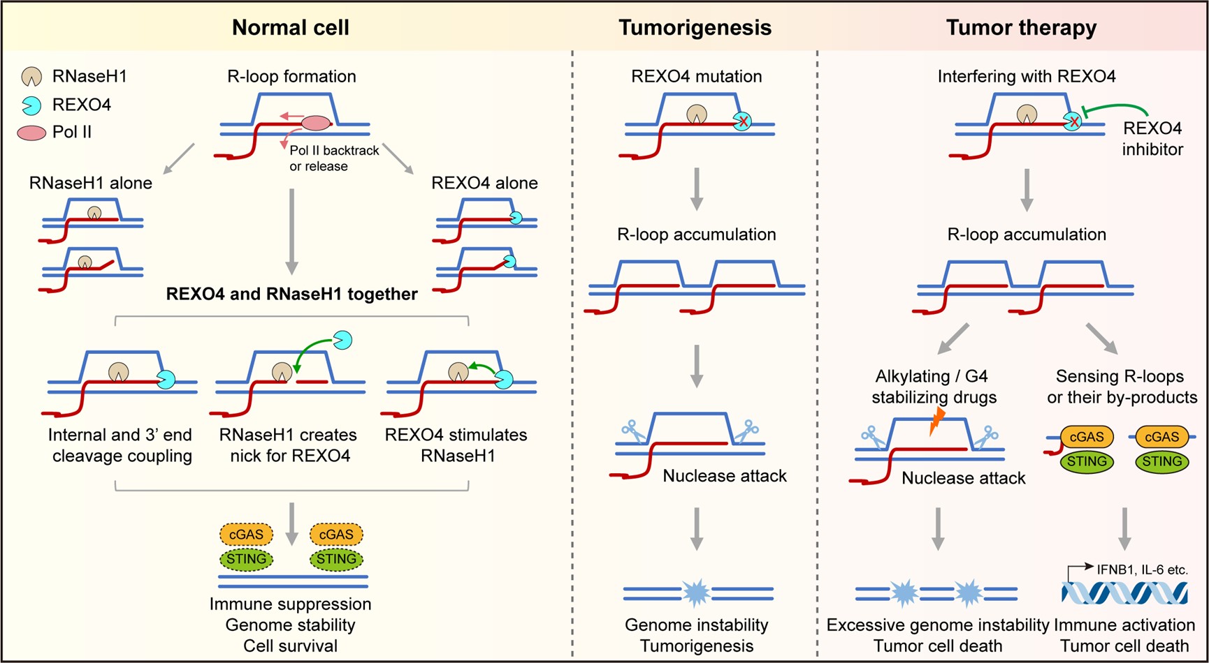 6fc91c1a7fc64058bd2688f16379c7ba.jpg 图片4.jpg