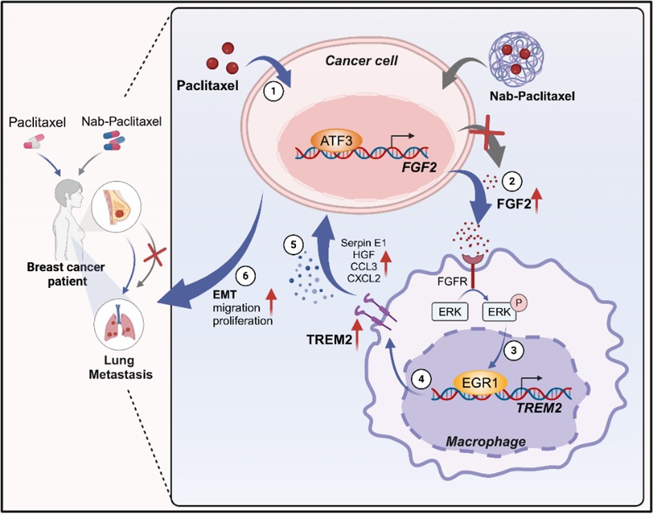 3e6618ad578f43c782a88d9fd08fa21b.jpg 图片4.jpg